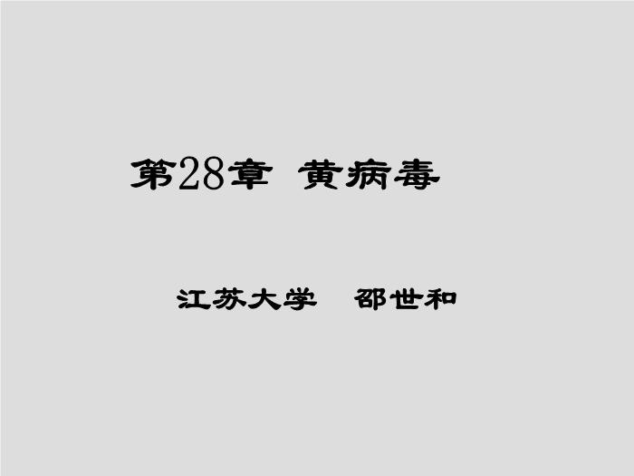 【醫學PPT課件】第28章 黃病毒 江蘇大學